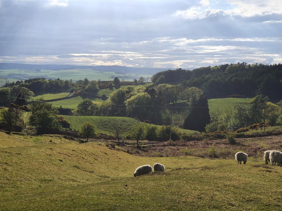 Holiday home Fairway View Rothbury